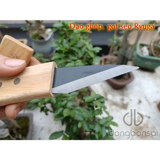 Dao ghép, gọt sẹo Ryuga