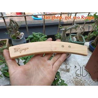 Dao ghép, gọt sẹo Ryuga