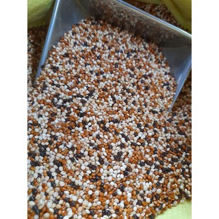 1kg cỏ thái mix 4 loại hạt