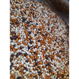 1kg cỏ thái mix 4 loại hạt