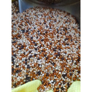 1kg cỏ thái mix 4 loại hạt