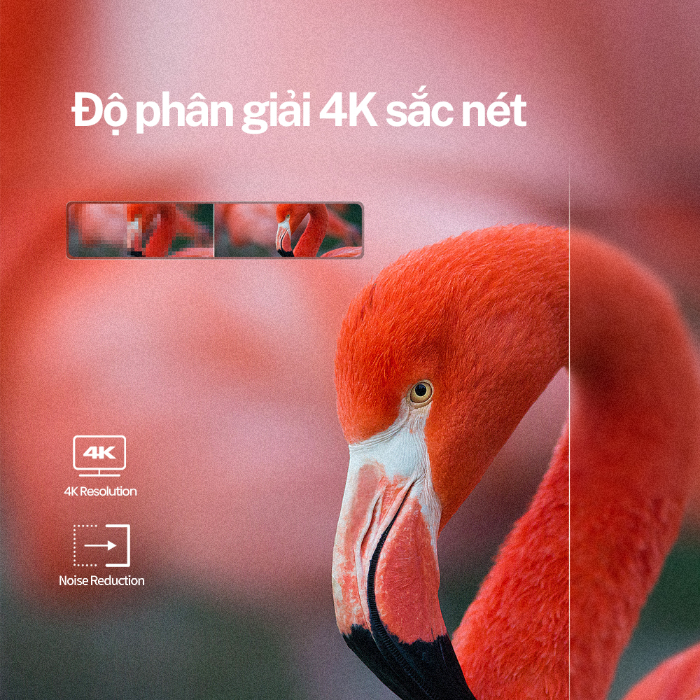 Hisense Google Tivi  43" 50" UHD 4K HDR TV A6500K Dolby Vision Atmos Điều khiển giọng nói từ xa - Bảo hành 2 năm