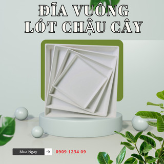 (Combo 2) Đĩa nhựa trắng lót chậu vuông,bền sạch sẽ,hứng nước chậu cây, tránh bẩn sàn (Vườn Sài Gòn)