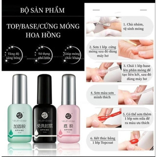 Base Top hoa hồng-sơn liên kết và top bóng hoa hồng