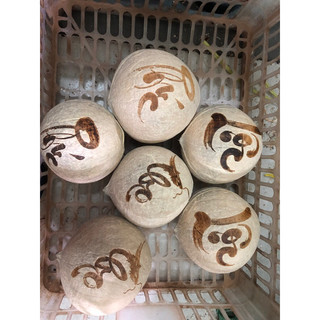3 trái dừa phúc - lộc - thọ