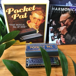 Kèn harmonica diatonic Hohner Pocket Pal (Key C) M59501 - Nhập khẩu