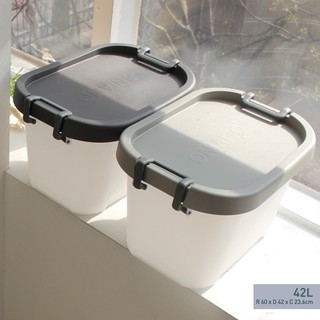 Thùng đựng đồ đa năng Curve Oliving Box 42L - Khóa tay cầm chắc chắn - Nhựa cao cấp Hàn Quốc