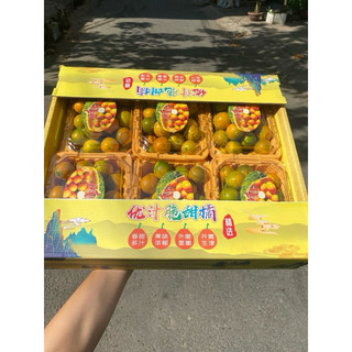 HCM - SHIP LIỀN l 👉🏻KIM QUẤT TẮC ĐÀI👈🏻