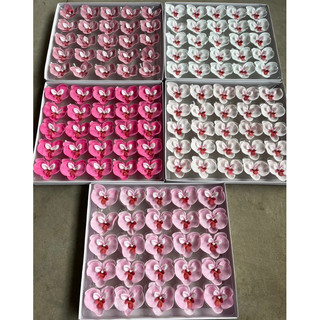 Hoa lan hồ điệp sáp ( hộp 25 bông)