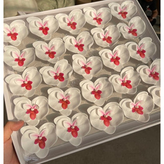 Hoa lan hồ điệp sáp ( hộp 25 bông)