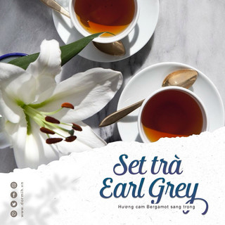 Trà TWININGS EARL Grey