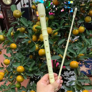 Sáo Recorder dụng cụ âm nhạc cho học sinh