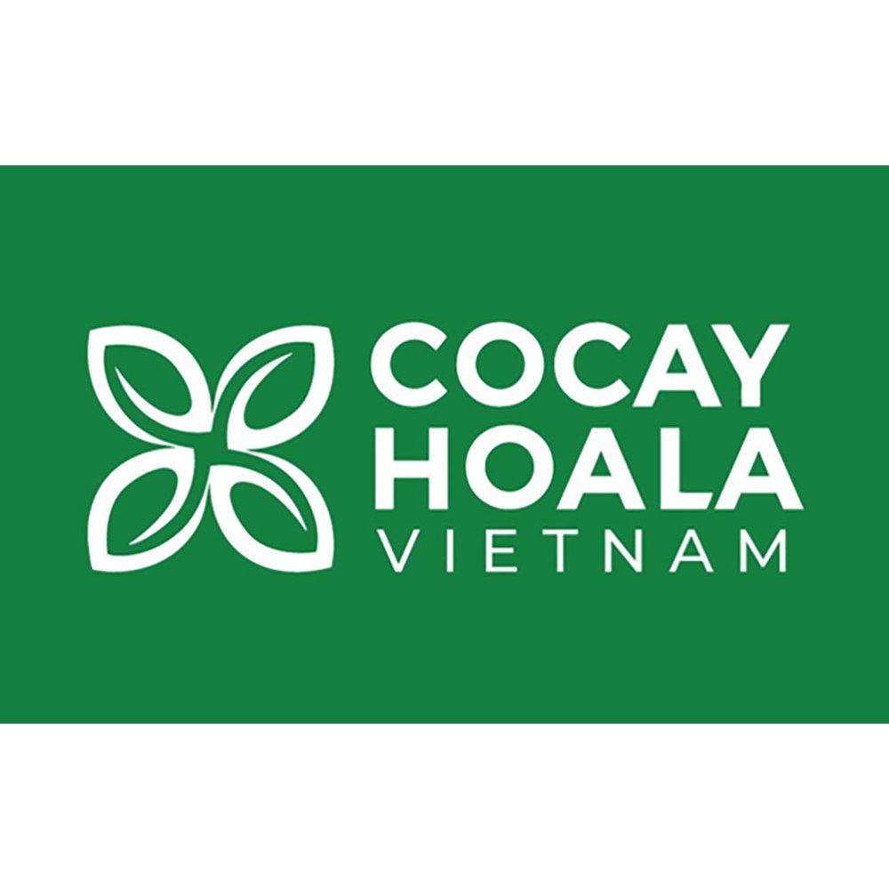 Sữa Tắm Thảo Dược Hữu Cơ Gừng Nghệ COCAYHOALA VIETNAM 500g-TẠM BIỆT MỤN LƯNG