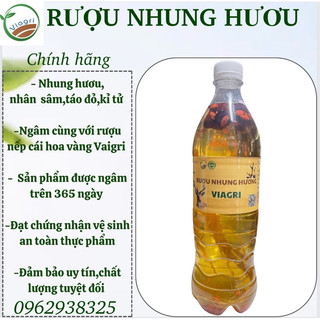 R ượu nhung huơu Viagri ngâm chuẩn vị đảm bảo chất lượng