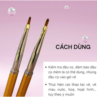 Cọ vẽ hoa cúc
