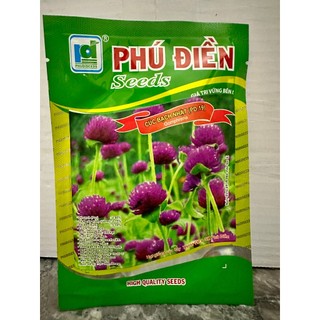 Hạt giống hoa cúc bách nhật tím