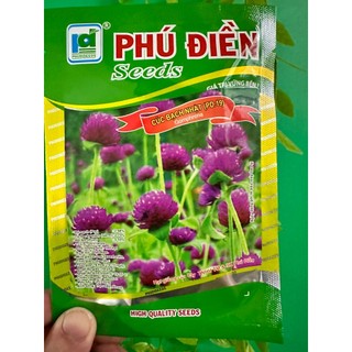 Hạt giống hoa cúc bách nhật tím