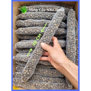 Phân Dê Túi Lưới Bón Lan, Cây Kiểng, Đã Qua Xử Lý (Dài 40 - 50Cm)