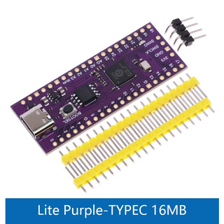 Board mạch Raspberry Pi Pico RP2040 Dual Core Cortex M0+ Pico W