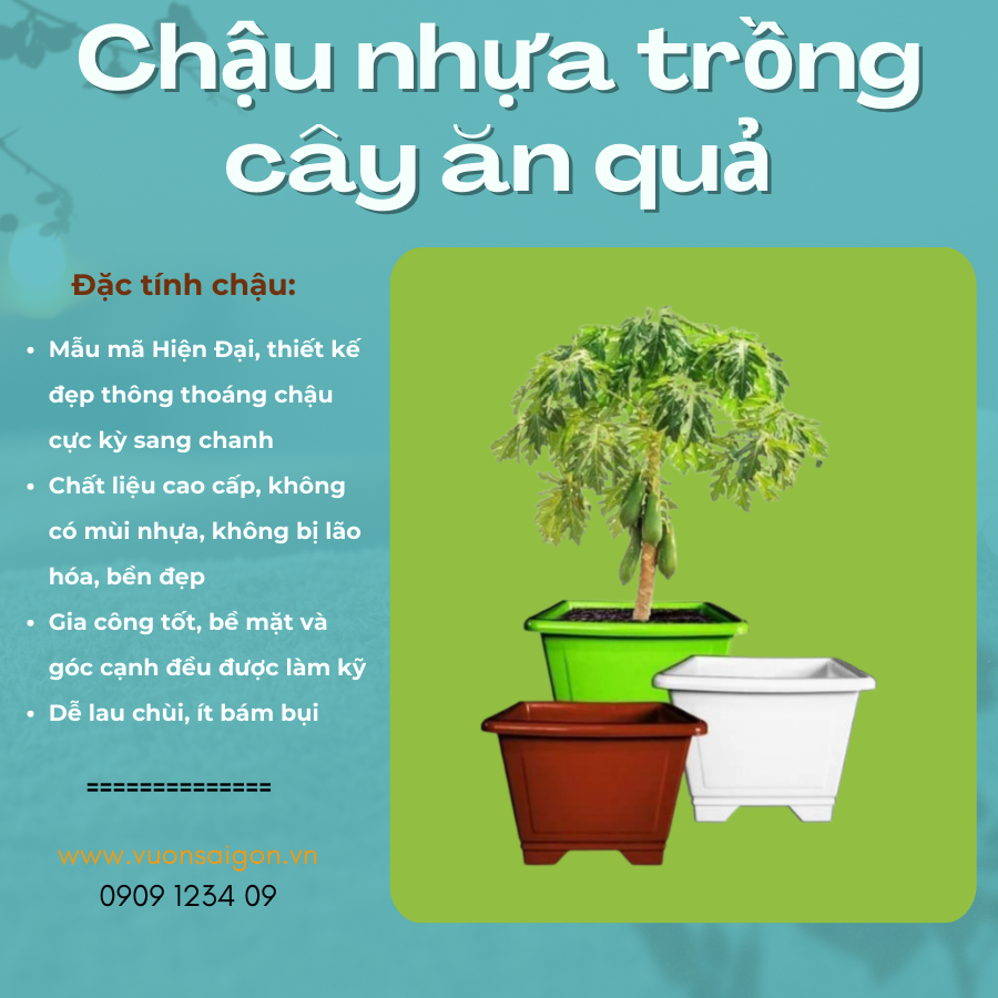 Chậu nhựa trồng cây ăn quả vuông cao 63, chậu nhựa sâu to trồng cây ăn trái nhựa dày bền đẹp, giá rẻ 