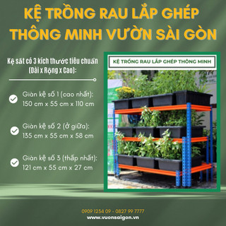 Kệ trồng rau lắp ghép Vườn Sài Gòn kệ số 3 (121x55x27 cm), kệ thấp nhất trên hình, kệ sắt trồng rau