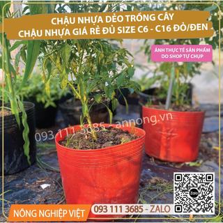 Chậu nhựa dẻo C12 - Chậu nhựa trồng vạn thọ 4 gốc, 5 gốc, Chậu trồng cây nha đam, hướng dương