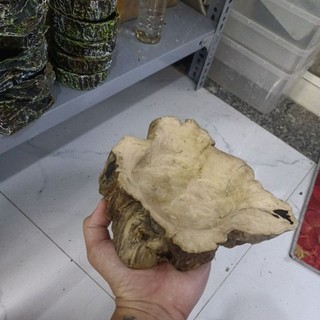 chén ăn , chén nước cho Ốc mượn hồn , bò sát