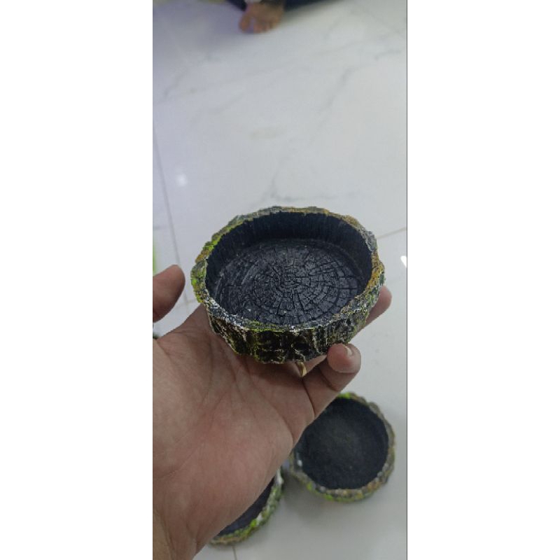 chén ăn , chén nước cho Ốc mượn hồn , bò sát
