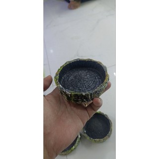 Chén ăn , chén nước cho Ốc mượn hồn , bò sát