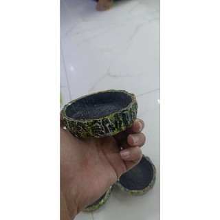 chén ăn , chén nước cho Ốc mượn hồn , bò sát
