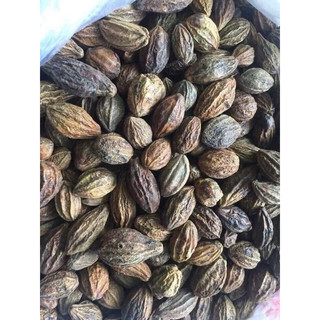 Quả Kha Tử khô loại 1 [500g]