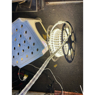 10m Led cuộn 2 hàng bóng 220v mã 2835