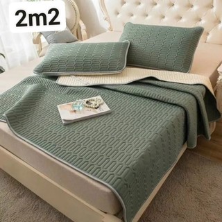 Chiếu điều hòa TENCEL mủ cao su non 2m2 xanh rêu