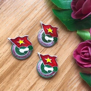 HUY HIỆU ĐOÀN (Túi 10 chiếc)