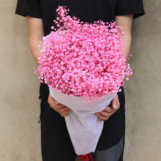 Hoa Baby Khô Trang Trí - Gypsophila Hồng Nhạt Bó 10Gr