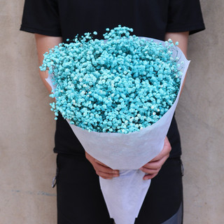 Hoa Baby Khô Trang Trí - Gypsophila Xanh Dương Bó 10Gr