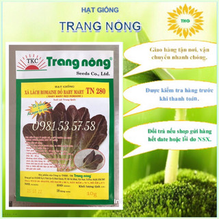 Hạt giống xà lách romaine đỏ Trang Nông gói 10gr