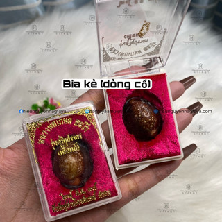 [siêu hiếm] Vòng Đeo Tay Bia Kè Thái Lan (dòng cổ lâu năm)