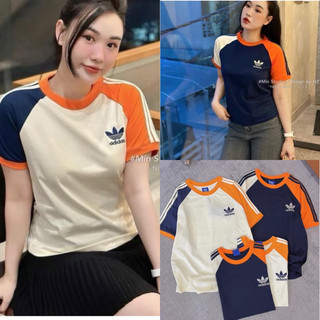Áo Thun Nữ , Áo Thun Babytee Das Phối Cam