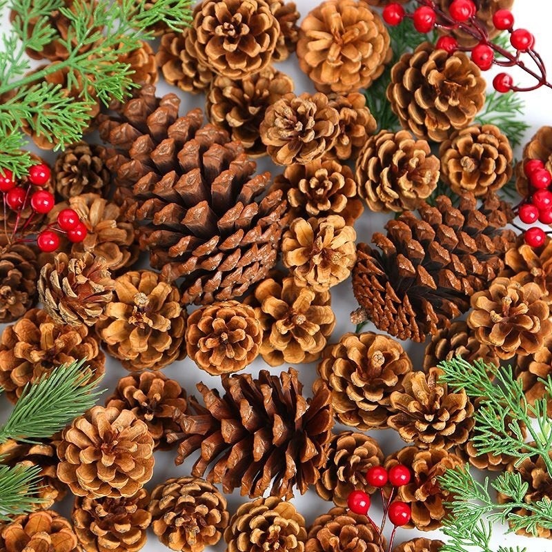 Quả thông khô, size 2cm~8cm, làm trang trí nhà cửa, handmade, noel