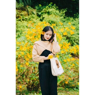 cây giống hoa dã quỳ   (cây thật ảnh 4)
