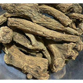 Mộc Hương Bắc Nguyên Củ