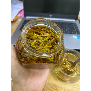 Hoa đu đủ đực mật ong