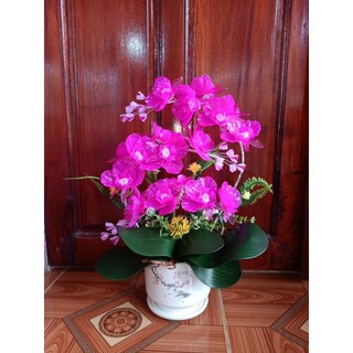 Nguyên liệu tự làm hoặc Thành phẩm bình hoa lan pha lê size 45x30cm