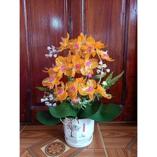 Nguyên liệu tự làm hoặc Thành phẩm bình hoa lan pha lê size 45x30cm