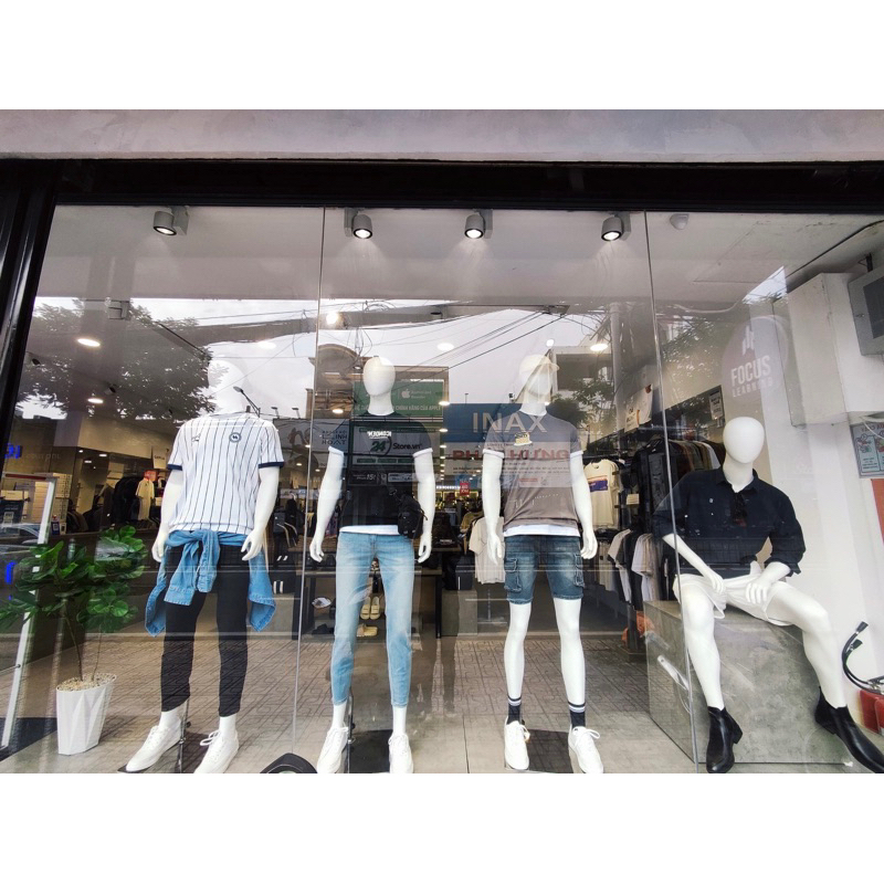 Manocanh nam đầu trứng