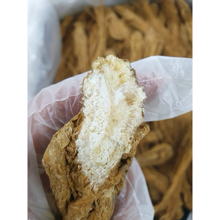 ĐƯƠNG QUY KHÔ (Mới, đẹp,size 15-16 củ/kg) [1KG]