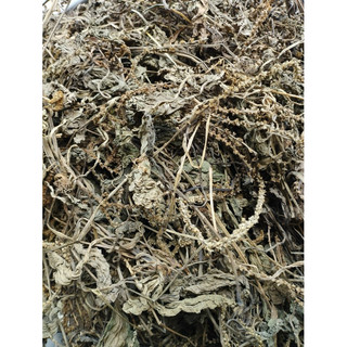 Mã Đề khô loại 1(mới, sạch) [1KG]