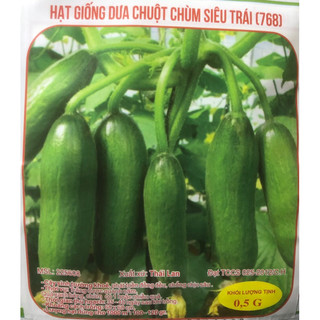 Hạt giống Dưa chuột Baby - dưa chùm siêu trái