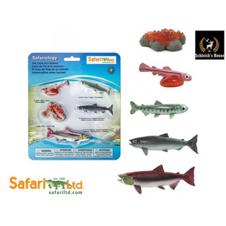 Mô hình động vật , đồ chơi con vật Safari Ltd chính hãng Dòng đời của cá hồi 100267 - Schleich House